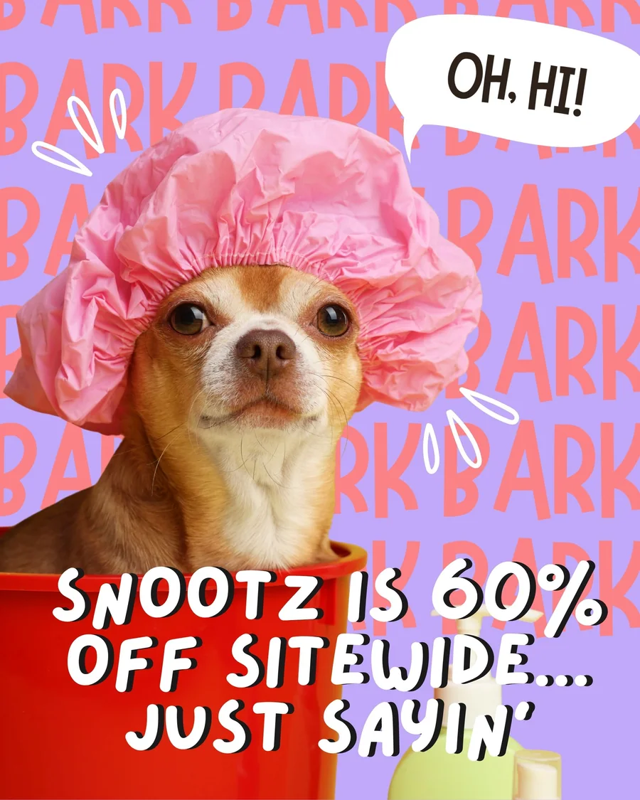 Snootz sale graphic: a small dog in a pink shower cap and the text “Snootz is 60% off sitewide… just sayin’”