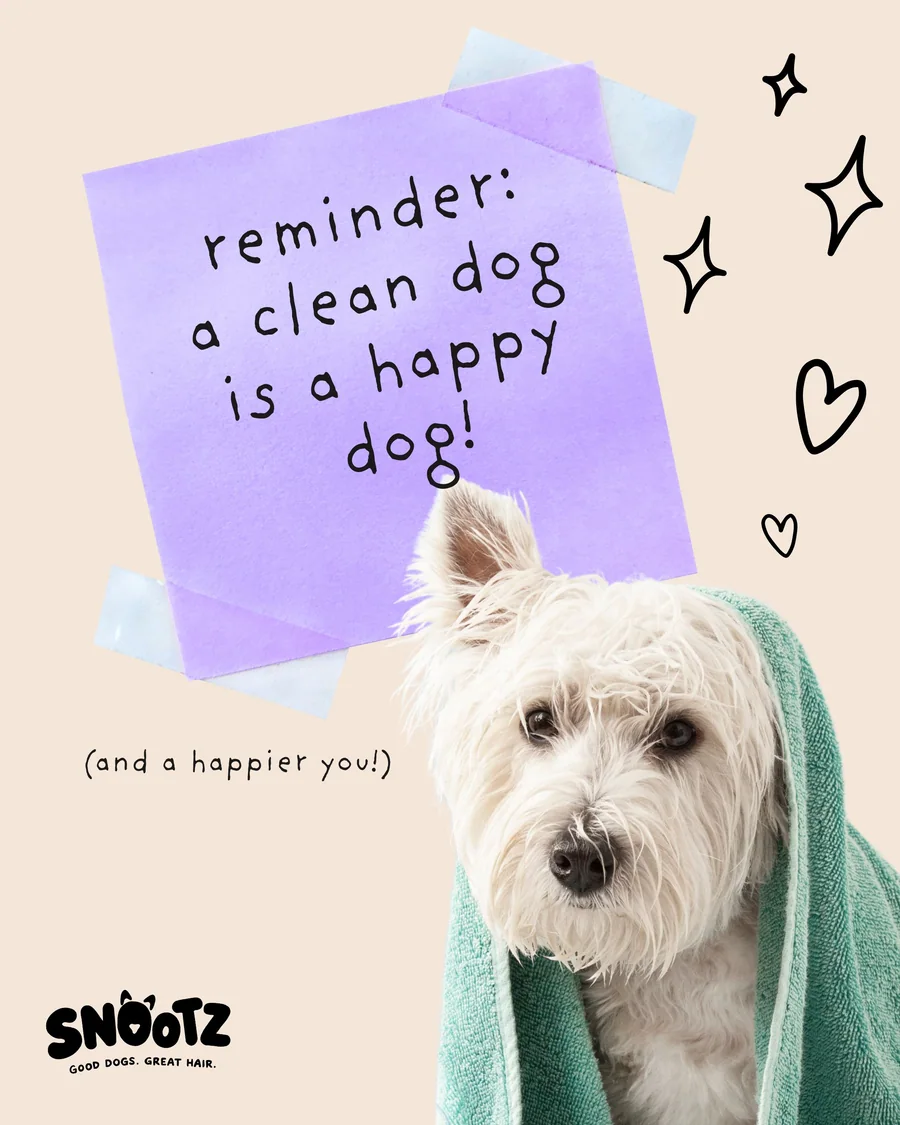 Graphic reading “reminder: a clean dog is a happy dog!” with a white dog wrapped in a green towel