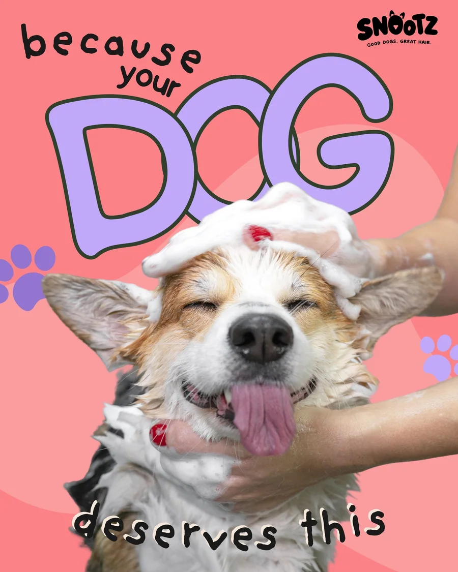 Graphic reading “because your dog deserves this” showing a corgi being shampooed on a pink background